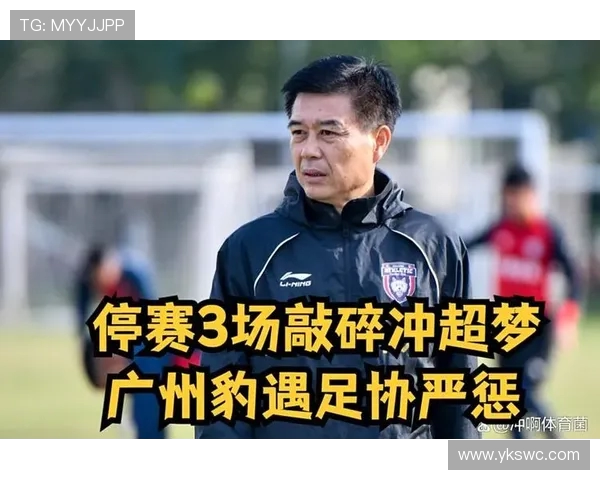 广州豹官方回应个别球迷违法行为公安已介入处理确保赛场秩序